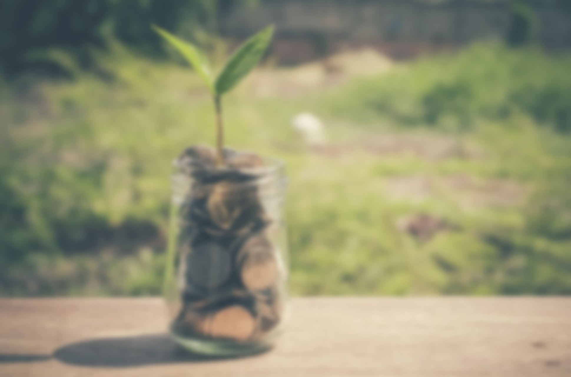 Fördermittel-Suche bei Muster Elektro in Musterstadt